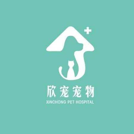 欣宠动物医院:重庆城区南岸区弹子石附近