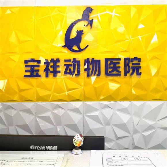 宝祥动物医院(猫科、眼科、骨科、异宠、犬猫内科):重庆城区南岸区弹子石附近