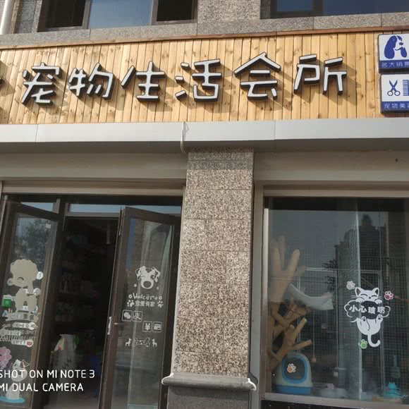 宠物生活会所:石家庄市长安区桃园附近