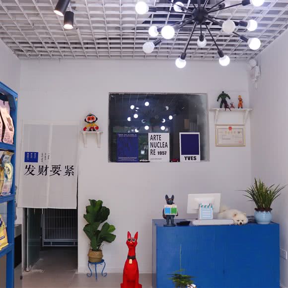 旧人老张宠物店:重庆城区南岸区茶园新区附近