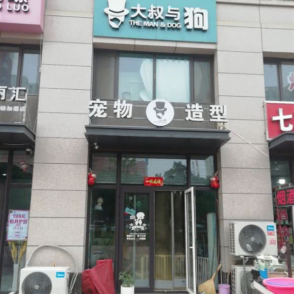 宠物造型:石家庄市长安区桃园附近