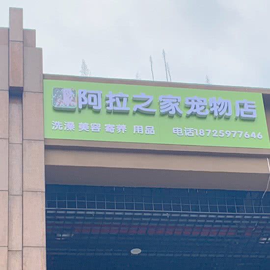 阿拉之家宠物店:重庆城区北碚区蔡家附近