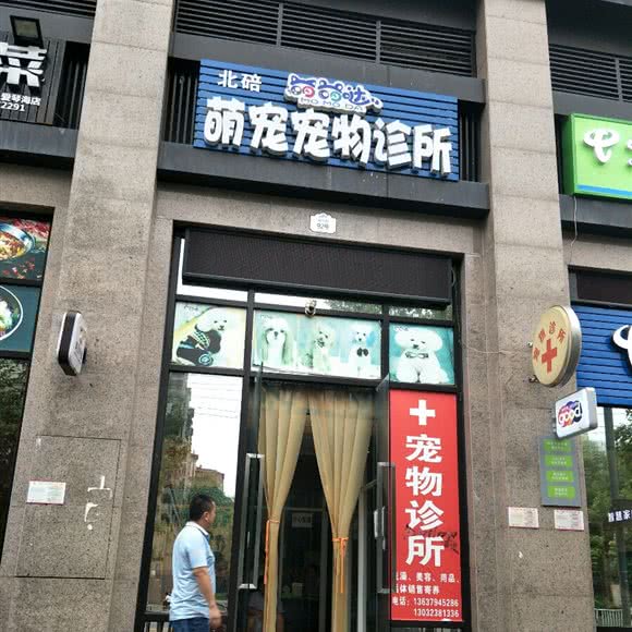 北碚萌宠宠物诊所:重庆城区北碚区蔡家附近