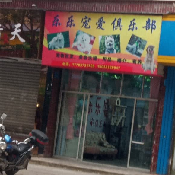 乐乐宠爱俱乐部:重庆城区大足区大足区附近
