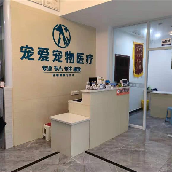 宠爱宠物医院:重庆城区大足区大足区附近