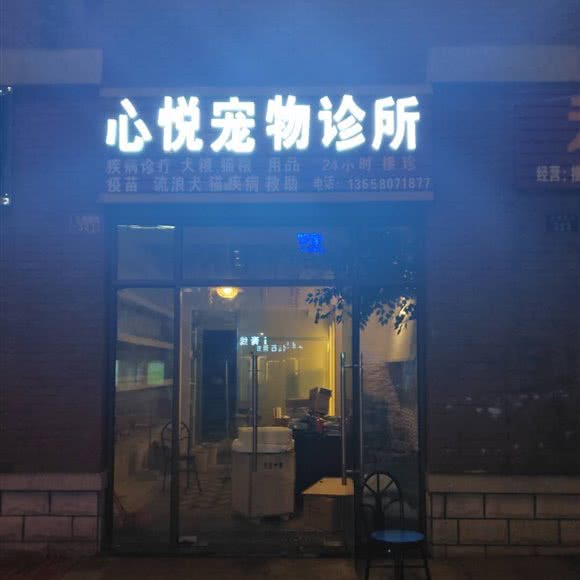 大足区心悦狗狗诊所:重庆城区大足区大足区附近