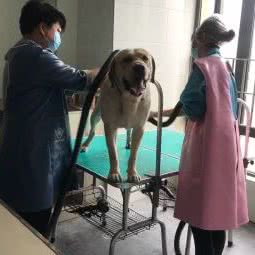 宠乐坊:重庆城区渝北区北部新区附近