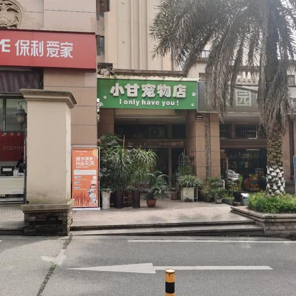 小甘宠物店:重庆城区渝北区北部新区附近