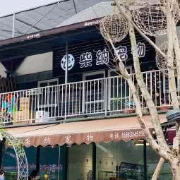 柴纳狗狗:重庆城区渝北区北部新区附近