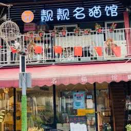 靓靓名猫馆:重庆城区渝北区北部新区附近