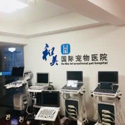 和美宠物医院:重庆城区渝北区新牌坊附近