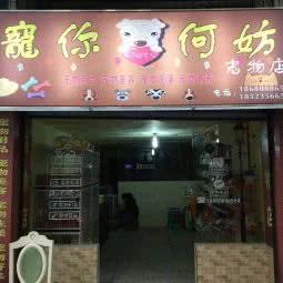 宠你何妨宠物店:重庆城区渝北区两路附近