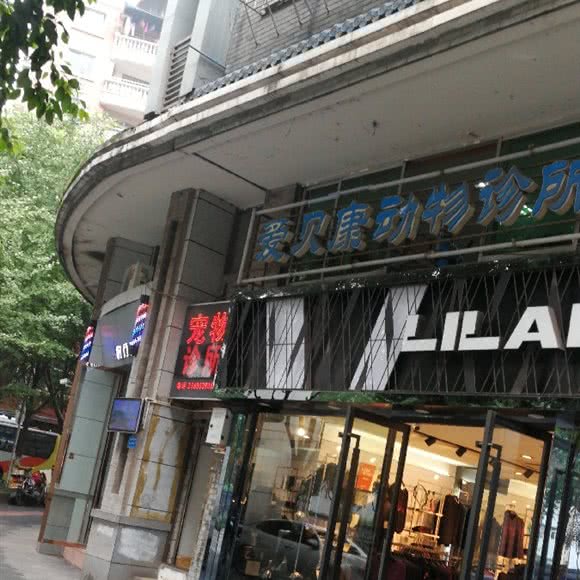 爱贝康动物诊所:重庆城区渝北区两路附近