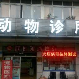 康佳宠物医院:重庆城区渝北区两路附近