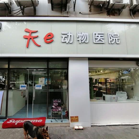 天e动物医院:重庆城区渝北区龙溪镇附近