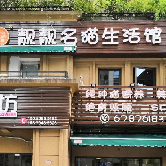 靓靓名猫生活馆:重庆城区渝北区龙头寺附近