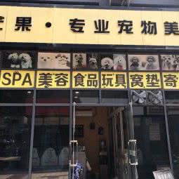 芒果专业宠物美容:重庆城区渝北区龙头寺附近