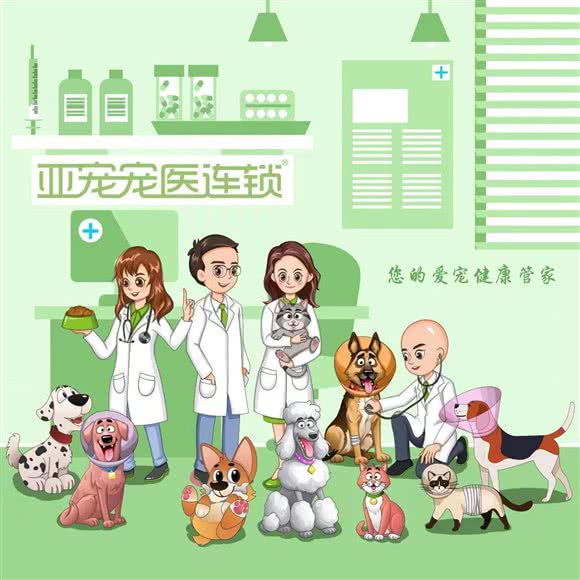 亚宠动物医院·亚六宠物医院(熊婆婆的花园店):重庆城区渝北区龙头寺附近