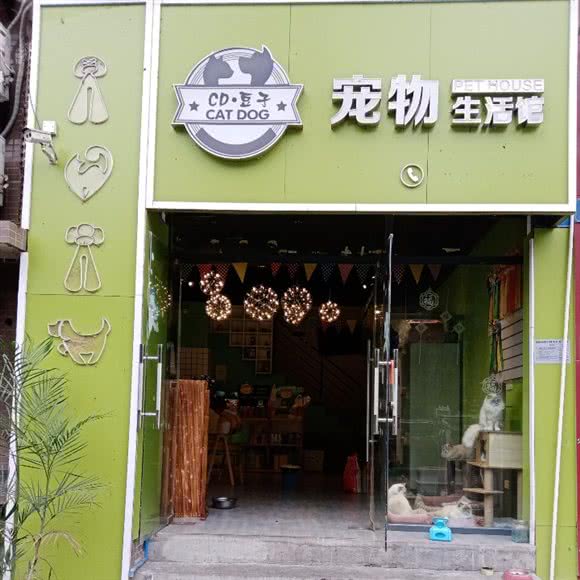 CD?Cat Dog豆子宠物生活馆:重庆城区渝北区黄泥塝附近