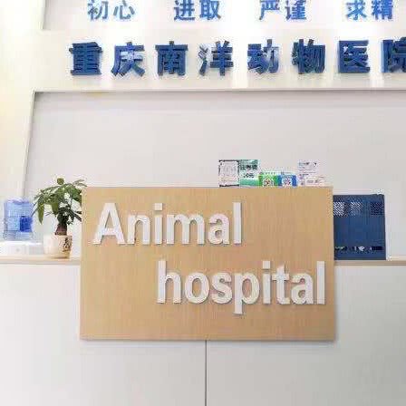 南洋动物医院:重庆城区渝北区黄泥塝附近