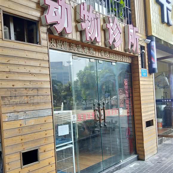 动物诊所:重庆城区渝北区空港广场附近