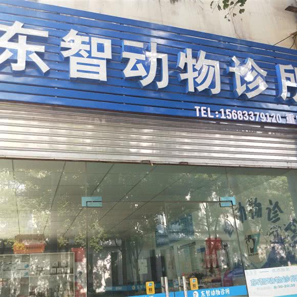 东智动物诊所:重庆城区渝北区空港广场附近