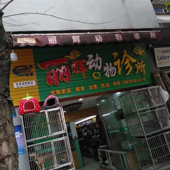 丽辉动物诊所:重庆城区渝北区空港广场附近