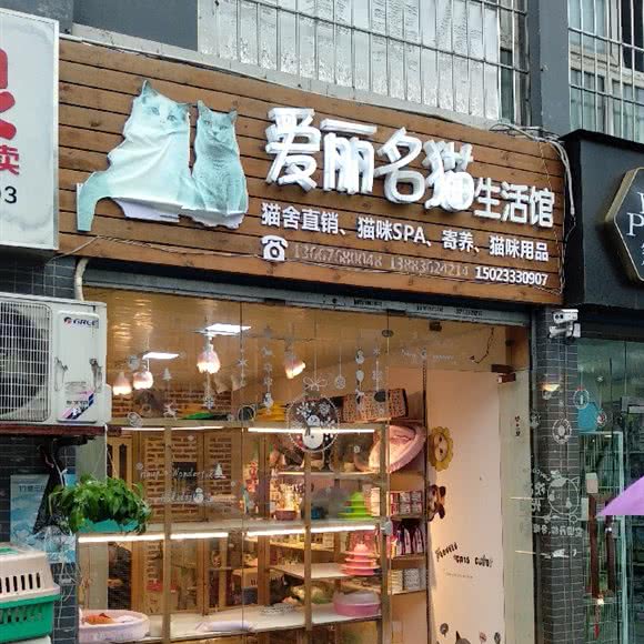 爱丽名猫生活馆:重庆城区渝北区红旗河沟北附近