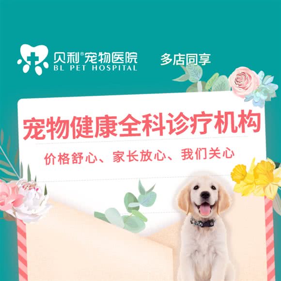 贝利宠物医院(两路诊疗中心):重庆城区渝北区一碗水附近