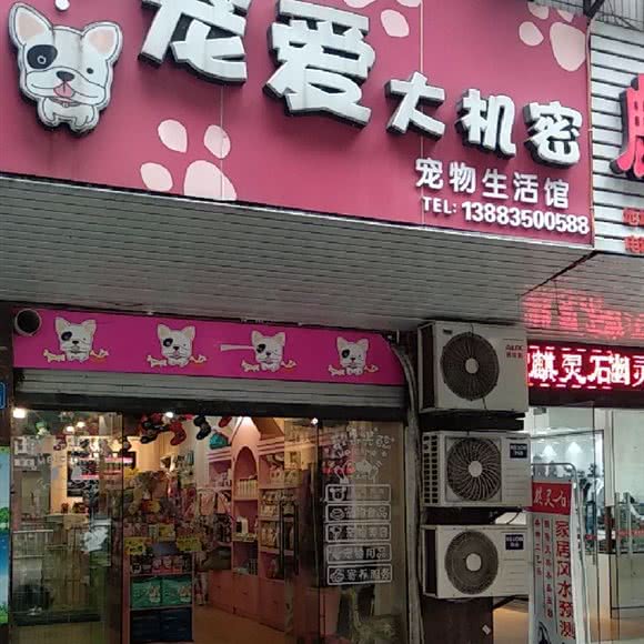 宠爱大机密宠物生活馆:重庆城区巴南区李家沱附近