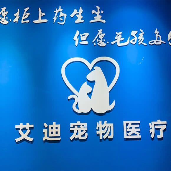 艾迪宠物医院(巴南总院):重庆城区巴南区龙洲湾附近