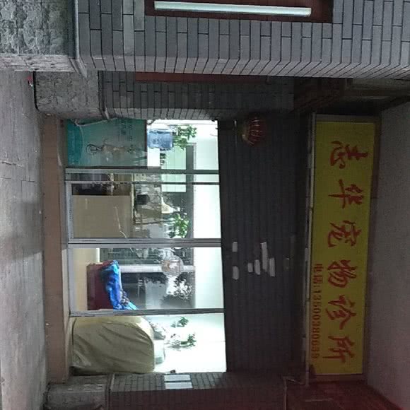 志华宠物医院:重庆城区巴南区鱼洞附近