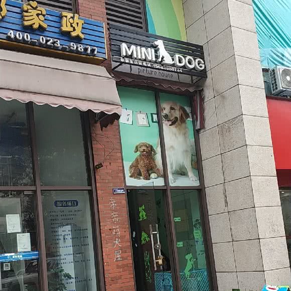 Mini Dog宠物生活馆:重庆城区巴南区融汇附近