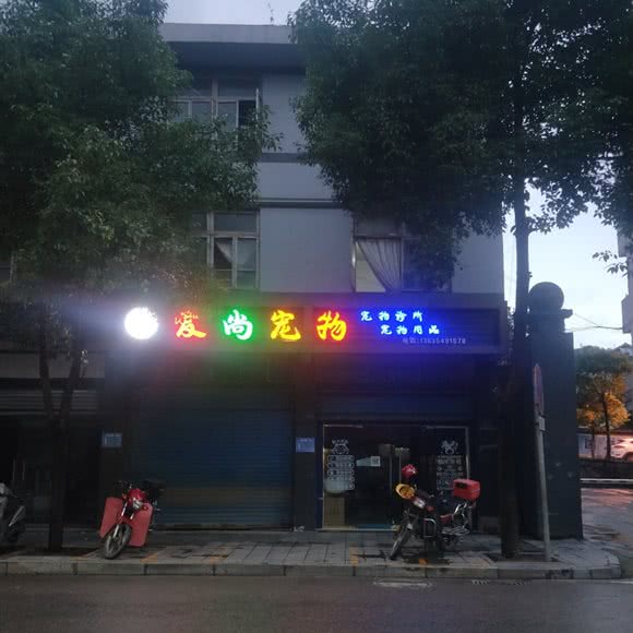 爱尚狗狗:重庆城区黔江区黔江区附近