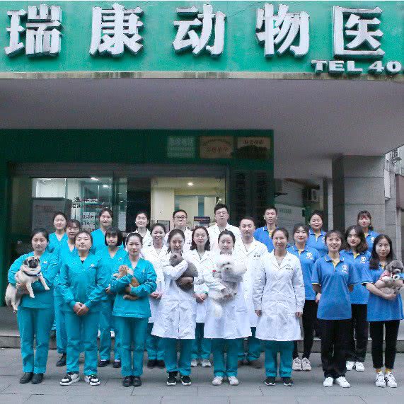 瑞康动物医院:重庆城区长寿区凤城街道附近