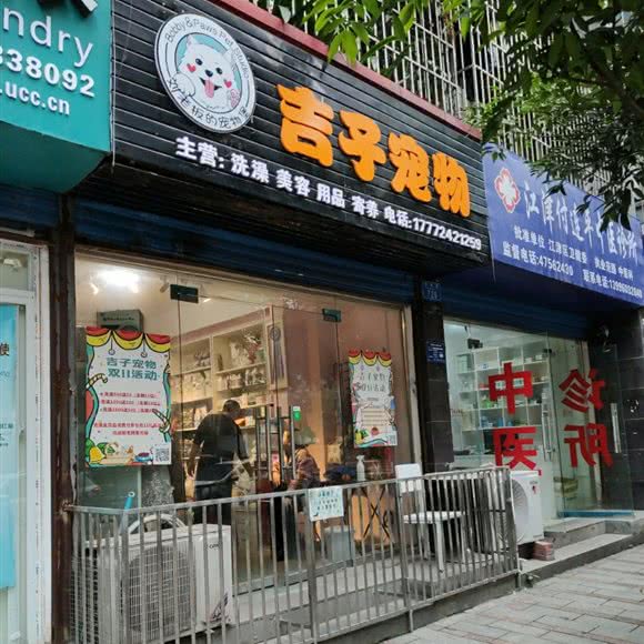 吉子宠物:重庆城区江津区江津区附近