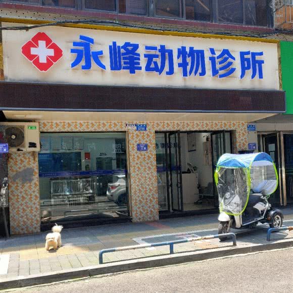 永峰动物诊所:重庆城区江津区江津区附近