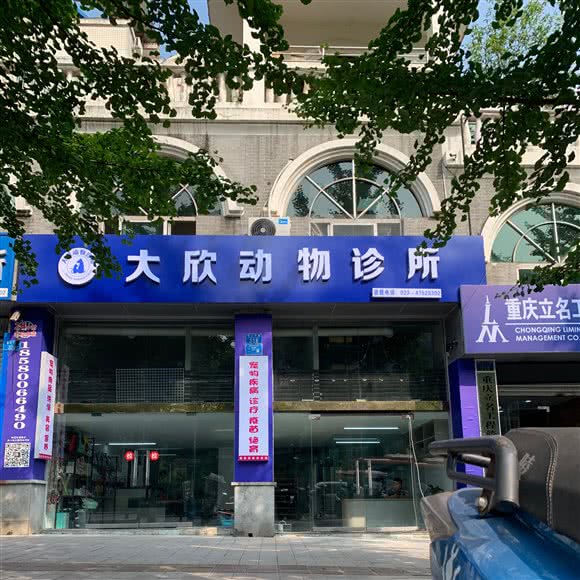 大欣动物诊所:重庆城区江津区江津区附近