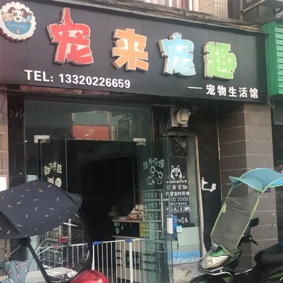 宠来宠趣:重庆城区合川区合阳城街道附近