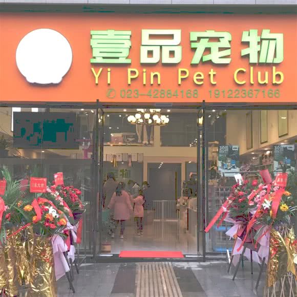 壹品宠物:重庆城区合川区合阳城街道附近