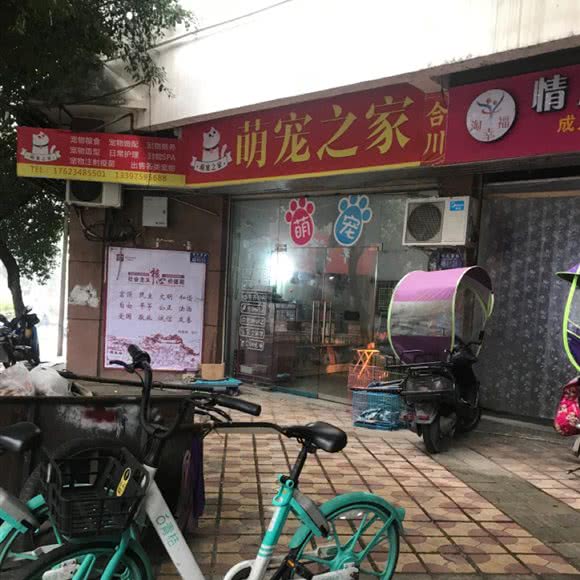 萌宠之家:重庆城区合川区合阳城街道附近