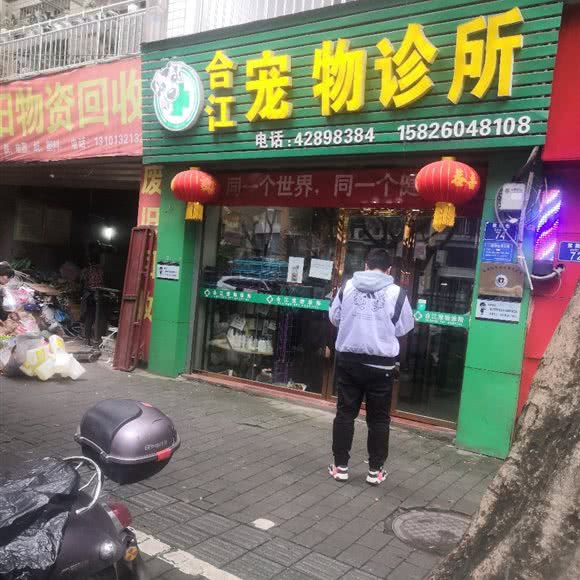 合江宠物诊所:重庆城区合川区合阳城街道附近
