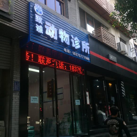致诚动物诊所:重庆城区合川区合阳城街道附近