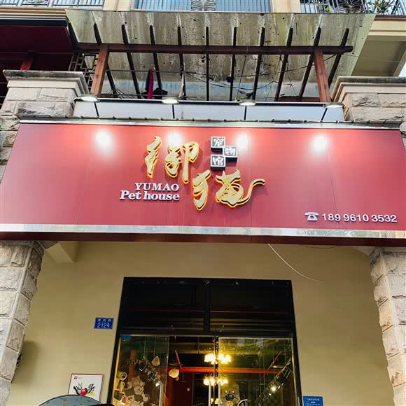 御猫宠物:重庆城区合川区钓鱼城街道附近