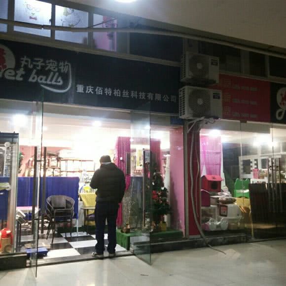 丸子宠物(华创店):重庆城区永川区中山路街道附近