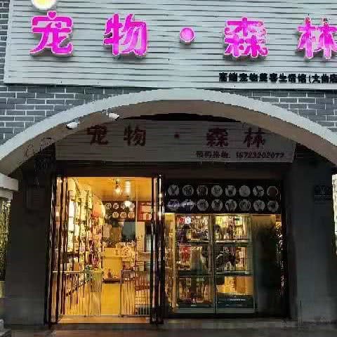 宠物森林(文曲店):重庆城区永川区胜利路街道附近