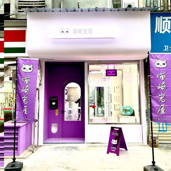 喵崎宠屋:成都市锦江区万达广场附近