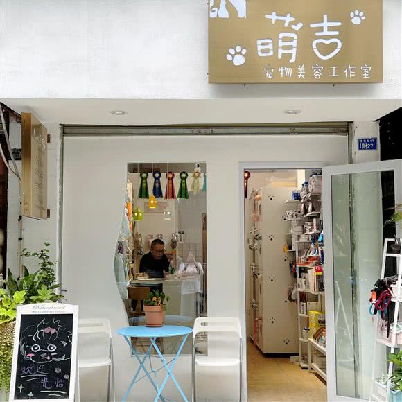萌吉宠物美容:成都市锦江区万达广场附近