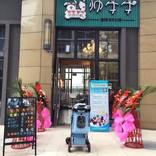 禧萌宠物SPA馆:成都市锦江区四川师大附近