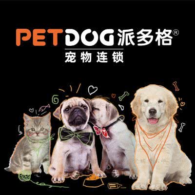 派多格宠物(东较场街店):成都市锦江区书院街附近